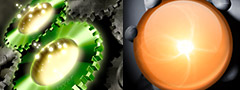 Featured : Aptana.com